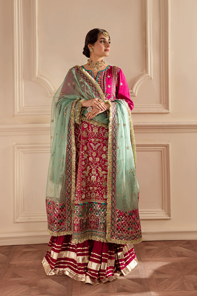 Magenta Shirt and Sharara